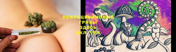 прущая мука Арсеньев