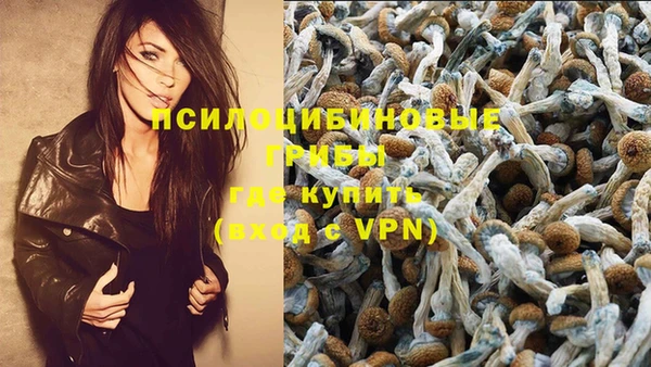 гидропоника Армянск