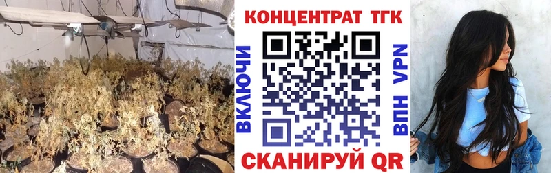 ТГК вейп с тгк дарнет шоп Карабулак
