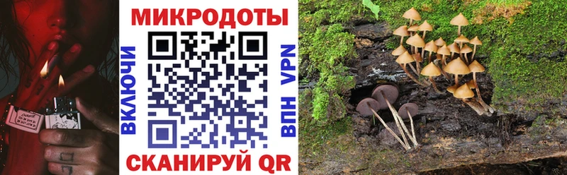 Галлюциногенные грибы мухоморы наркотики Карабулак